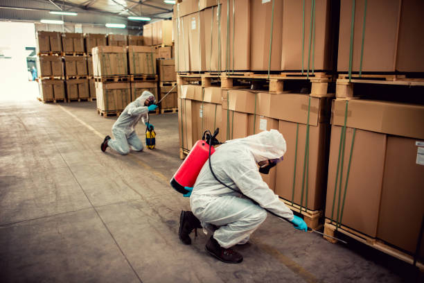 Best Affordable Pest Control Services  in Hilmar Irwin, CA