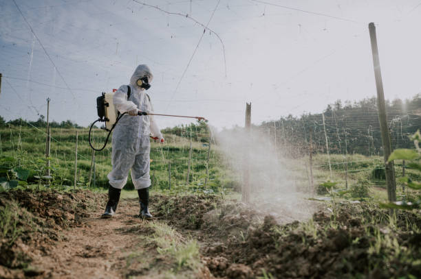 Best Ant Control Services  in Hilmar Irwin, CA
