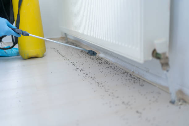 Best Bed Bug Extermination  in Hilmar Irwin, CA